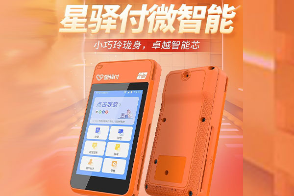 巴塘国通微电签POS机